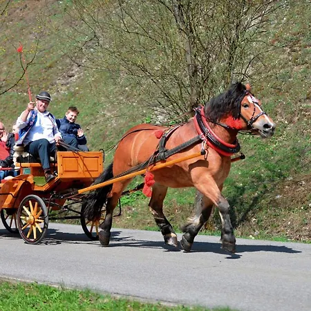 Zajazd Pltnik *
